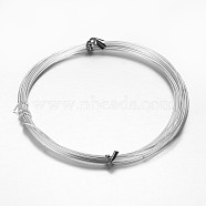 Round Aluminum Craft Wire, for DIY Arts and Craft Projects, Silver, 9 Gauge, 3mm, 5m/roll(16.4 Feet/roll)(AW-D009-3mm-5m-01)