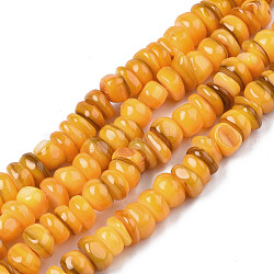 Natural Trochid Shell/Trochus Shell Beads Strands, Dyed, Flat Round, Goldenrod, 5~10x1~7mm, Hole: 1mm, about 94pcs/strand, 14.96''(38cm)(X-SHEL-S258-081-B10)
