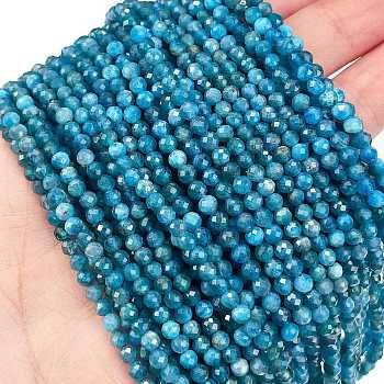 Natural Apatite Beads Strands, Faceted, Round, 3mm, Hole: 0.6mm, about 120pcs/strand, 15''(38.1cm)
