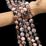 Natural Red Tree Agate Beads Strands, with Seed Beads, Faceted Coin Beads, Flat Round, 6~6.5x4mm, Hole: 1.2mm, about 49~52pcs/strand, 15.35~15.75''(39~40cm)(G-K389-B89-01)