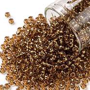 TOHO Round Seed Beads, Japanese Seed Beads, (754) Gold Lined Pink, 8/0, 3mm, Hole: 1mm, about 222pcs/bottle, 10g/bottle(SEED-JPTR08-0754)