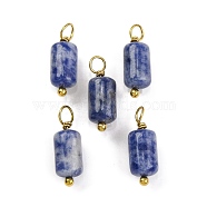 Natural Sodalite Cloumn Pendants, Geometric Charms with Golden Tone 304 Stainless Steel Loops, 17.5x6x6mm, Hole: 2mm(STAS-H221-04G-06)