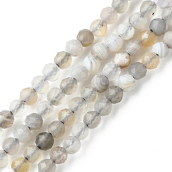 Natural Botswana Agate Beads Strands, Faceted, Round, 3mm, Hole: 0.7mm, about 143pcs/strand, 15.35 inch(39cm)