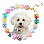 Acrylic & Alloy Pet Collars, Colorful, 312mm(NJEW-FH00005)