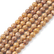 Natural Maifanite/Maifan Stone Beads Strands, Round, 6mm, Hole: 1mm, about 62pcs/strand, 15.16 inch(38.5cm)(G-F353-6mm-A)