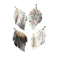 Natural Black Lip Shell Big Pendants, Leaf Charms with Platinum Plated Brass Pinch Bails, 65.5~67x41x3~3.5mm, Hole: 4.5x3.5mm(BSHE-Z003-37P)