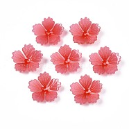 Plastic Beads, Flower, Tomato, 15~15.5x16~16.5x4mm, Hole: 1mm(KY-N015-58)