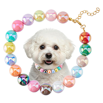 Acrylic & Alloy Pet Collars, Colorful, 312mm