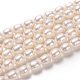 Natural Cultured Freshwater Pearl Beads Strands(PEAR-L033-75-01)-1