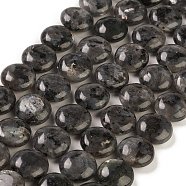 Natural Larvikite Beads Strands, Flat Round, Black, 14.6~15.5x6~6.5mm, Hole: 0.8mm, about 27pcs/strand, 15.59''~15.87''(39.6~40.3cm)(G-M403-C09-02)