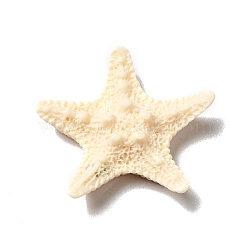 Sea Animal Opaque Resin Cabochons, Starfish, Antique White, 37x38x9mm(CRES-M014-14F)
