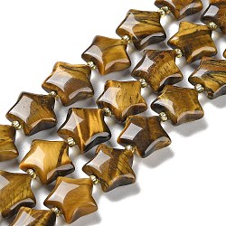 Natural Tiger Eye Beads Strands, with Seed Beads, Puffed Star, 14~15.5x15~16x6.5~7mm, Hole: 1mm, about 24~25pcs/strand, 15.55''~15.95''(39.5~40.5cm)(G-NH0005-007)