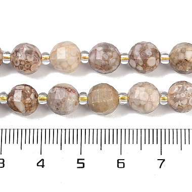 brins de perles fossiles de conque naturelle(G-G182-B37-03)-5