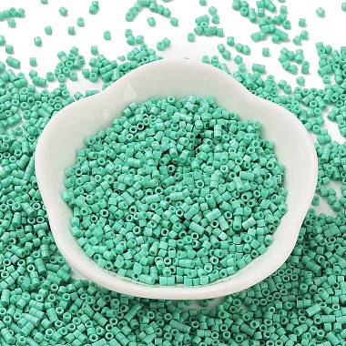 Baking Paint Glass Seed Beads(X-SEED-S042-05B-60)-2