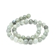 Natural Labradorite Beads Strands(G-G828-01-10mm)-2