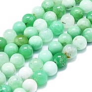 Natural Chrysoprase Beads Strands, Round, 9~9.5mm, Hole: 1mm, about 43pcs/strand, 15.35''(39cm)(G-K245-A12-07)
