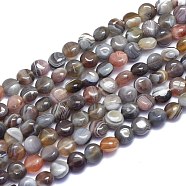 Natural Botswana Agate Beads Strands, Flat Round, 8x5mm, Hole: 0.8mm, about 51pcs/Strand, 15.55 inch(39.5cm)(G-K310-D01-8mm)