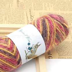 Squirrel Wool Knitting Yarn, for Garments Scarves Sweater Shawl Hats, Colorful, 0.5~1mm, about 125.77 Yards(115m)/Skein(PW-WG60DCD-04)