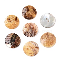 2-Hole Mother of Pearl Buttons, Akoya Shell Button, Flat Round, Moccasin, 17.5~18x0.8mm, Hole: 1.6mm(SHEL-T012-43D)