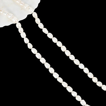 1 Strand Natural Cultured Freshwater Pearl Beads Strands, Rice, Creamy White, 6~8x5~6mm, Hole: 0.8mm, about 48pcs/strand, 13.77 inch~14.17 inch