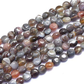 Natural Botswana Agate Beads Strands, Flat Round, 8x5mm, Hole: 0.8mm, about 51pcs/Strand, 15.55 inch(39.5cm)