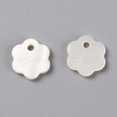 Seashell Color Flower Freshwater Shell Charms