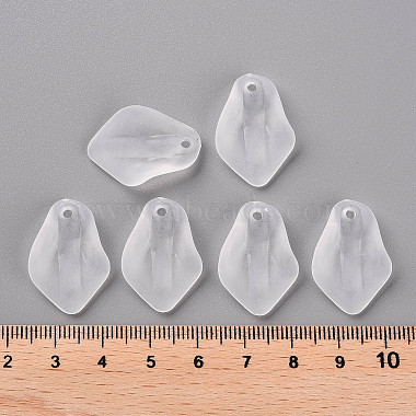 Transparent Frosted Acrylic Pendants(MACR-S371-03A-701)-4