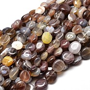Natural Botswana Agate Nuggets Beads Strands, Tumbled Stone, 9~12x8~13x5~7mm, Hole: 1mm, about 15.3 inch~15.7 inch(G-J336-21)