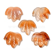 Natural Red Agate Carved Pendants, Leaf Charms, 43~44x49~50x7~7.5mm, Hole: 1.4mm(G-K353-01G)