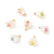 Spray Painted ABS Plastic Imitation Pearl Charms, with Transparent Acrylic Round Beads and Golden Tone Brass Findings, Flower, Mixed Color, 12.5~13x11mm, Hole: 2mm(PALLOY-JF01603-04)