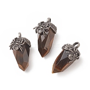Natural Tiger Eye Pendants, Faceted Acorn Charms, with Antique Silver Tone Brass Spider Findings, 40.5~41x18.5x21~24mm, Hole: 5.5x6mm(G-C051-03D)