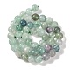 Natural Fluorite Beads Strands(X-G-P530-B04-03)-4