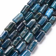 Natural Apatite Beads Strands, Faceted, Column, 8~11x6~8x5~7mm, Hole: 1mm, about 15~17pcs/strand, 7.28~7.48 inch(G-S345-8x11-003)