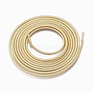 Steel Memory Wire, for Collar Necklace Making, Long-Lasting Plated, Necklace Wire, Golden, 12 Gauge, 2mm(TWIR-N003-003G)