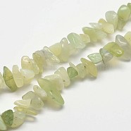 Chip Natural New Jade Beads Strands, 2~8x2~15mm, Hole: 1mm, about 31.5 inch(G-N0144-01)