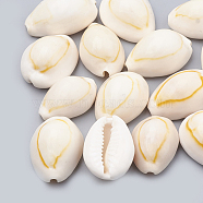 Cowrie Shell Beads, Seashell Color, 23~26x15~20x11~14mm, about 150pcs/500g(SSHEL-T004-06)