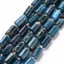 Natural Apatite Beads Strands, Faceted, Column, 8~11x6~8x5~7mm, Hole: 1mm, about 15~17pcs/strand, 7.28~7.48 inch(G-S345-8x11-003)