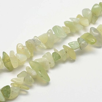 Chip Natural New Jade Beads Strands, 2~8x2~15mm, Hole: 1mm, about 31.5 inch