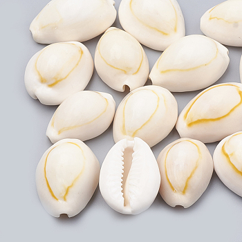 Cowrie Shell Beads, Seashell Color, 23~26x15~20x11~14mm, about 150pcs/500g