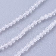 Natural Rainbow Moonstone Beads Strands, Faceted, Round, White, 2~2.5mm, Hole: 0.5mm, about 180~200pcs/strand, 14.5~16.1 inch(37~41cm)(G-F619-19-2mm)