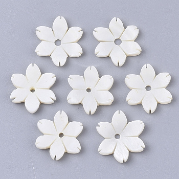 Freshwater Shell Beads, Flower, Seashell Color, 15x13.5x3mm, Hole: 1.6mm