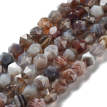 Natural Botswana Agate Beads Strands, Faceted, Star Cut Round Beads, 8x8x8mm, Hole: 1mm, about 46pcs/strand, 15.35 inch(39cm)