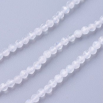 Natural Rainbow Moonstone Beads Strands, Faceted, Round, White, 2~2.5mm, Hole: 0.5mm, about 180~200pcs/strand, 14.5~16.1 inch(37~41cm)