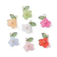 Acrylic Pendants, with Glass and Brass Findings, Flower Charms, Mixed Color, 11x14x14mm, Hole: 3x4mm(PALLOY-TA00145)