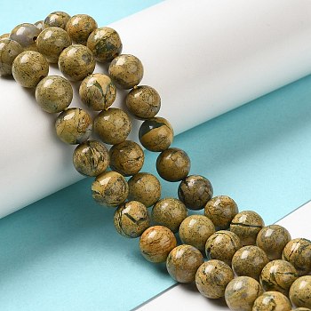 Natural Dragon Bone Stone Beads Strands, Grade AB, Round, 8mm, Hole: 1mm, about 51pcs/strand, 16.14''(41cm)