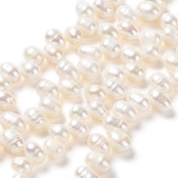 Natural Cultured Freshwater Pearl Beads Strands, Rice, Antique White, 8~12x7~8mm, Hole: 0.7mm, about 59~60pcs/strand, 13.98''(35.5cm)(PEAR-J007-50)