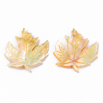 Natural Yellow Shell Shell Pendants, Maple Leaf, 33.5x31.5x3mm, Hole: 1mm
