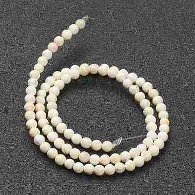 Nrtutal Magnesite Beads Strands(G-L575-01A)-3