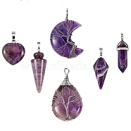 6Pcs 6 Style Natural Amethyst Pendants, with Platinum Tone Brass & Alloy Findings, Mixed Shapes, 22~55x12~32x12~16mm, 1pcs/style(G-SZ0001-92)