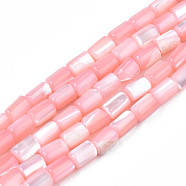 Natural Trochid Shell/Trochus Shell Beads Strands, Dyed, Column, Pink, 4~5x3~3.5mm, Hole: 0.9mm, about 77~78pcs/strand, 15.55 inch~15.75 inch(39.5~40cm)(SHEL-N003-26-B05)